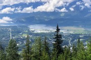 from a nature drive in the hills above Revelstoke